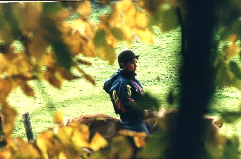 1994