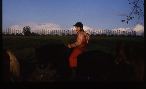 1986