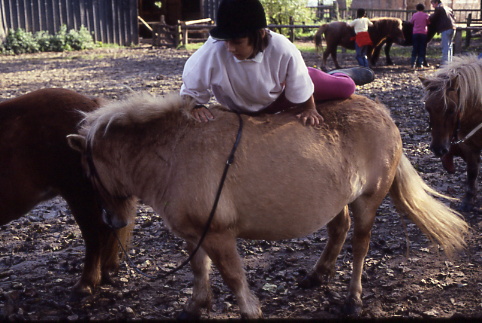 1987