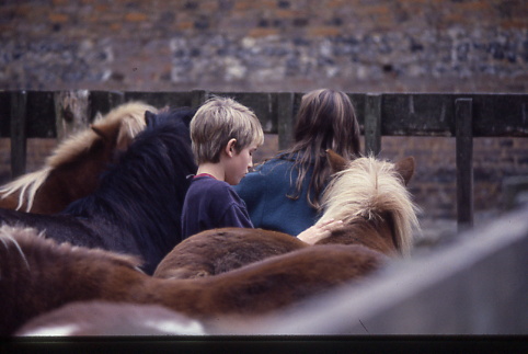 1987