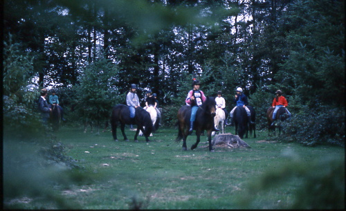 année 1989