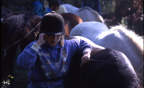 année 1989