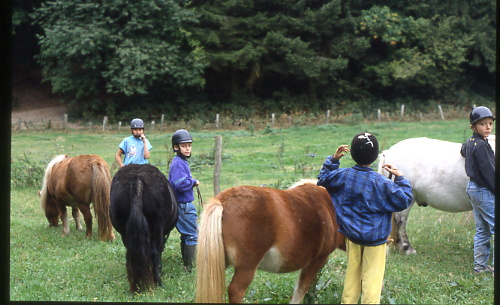 année 1989