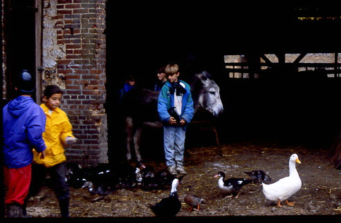 1992
