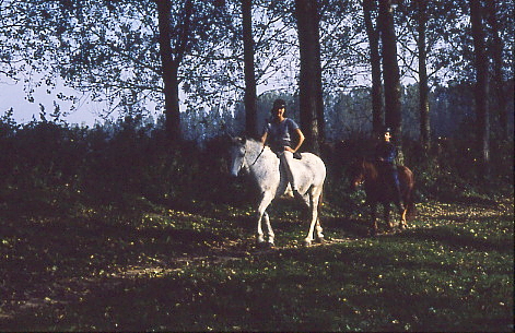 1995