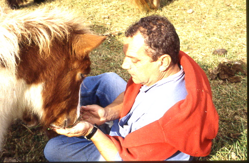 1997
