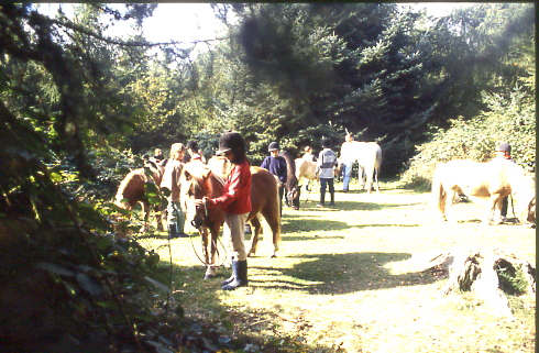 1997