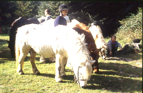 1997