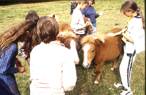 1997