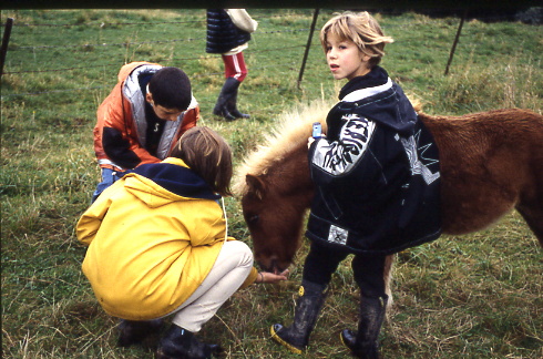 1998
