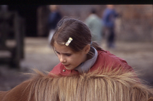 1998