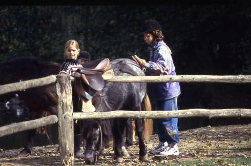 1998