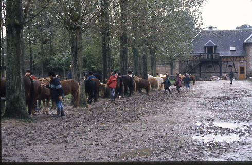 1999
