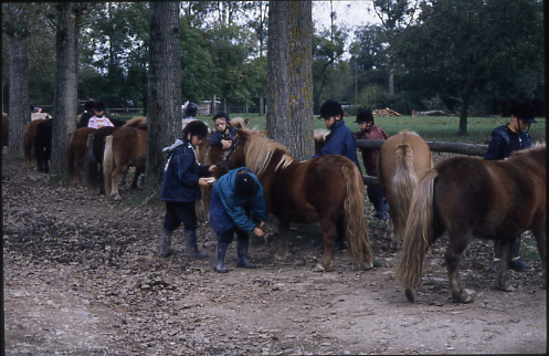 1999