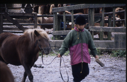 1999