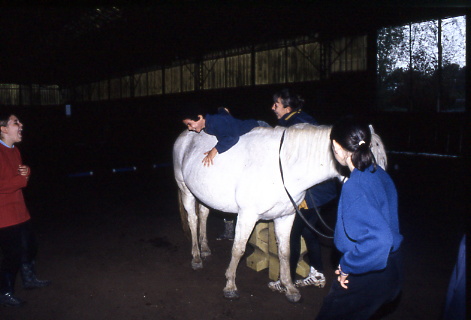 1999