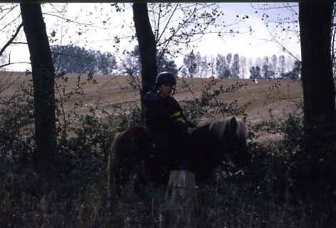 1999
