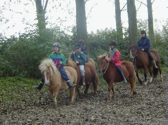 2000