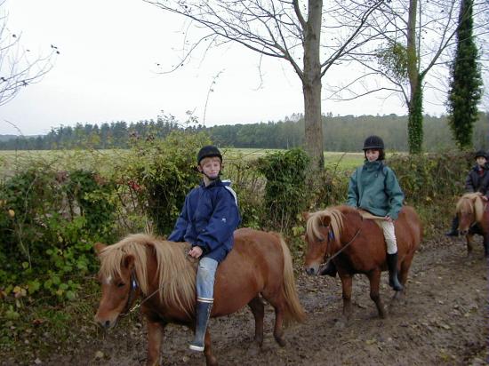 2000