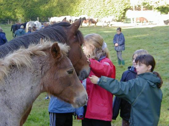 2000