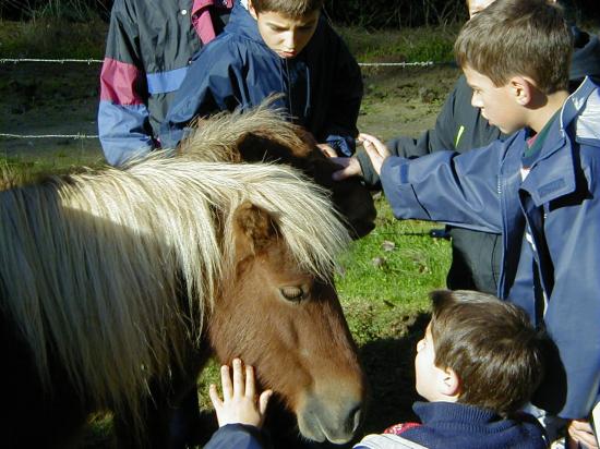 2000