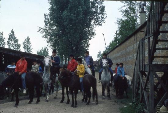 Année 1981-1982