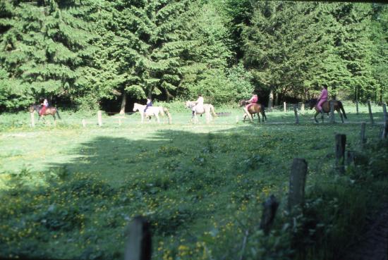 Année 1981-1982