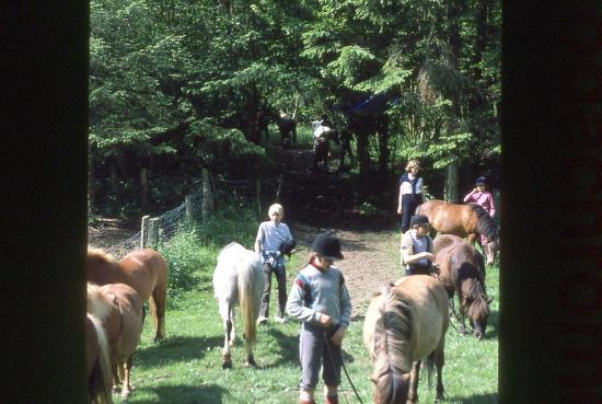 Année 1981-1982