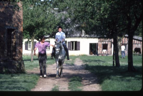 Année 1981-1982