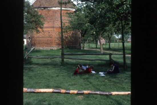 Année 1981-1982
