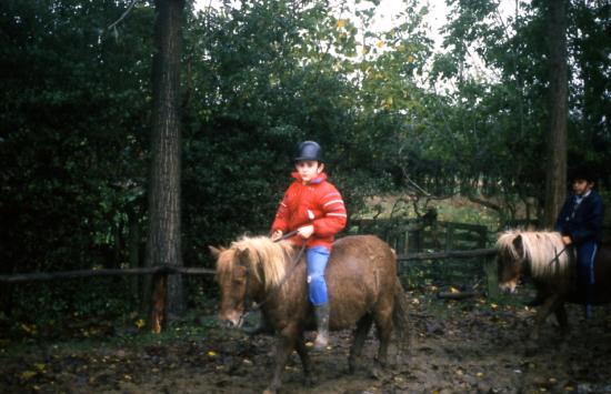 1986