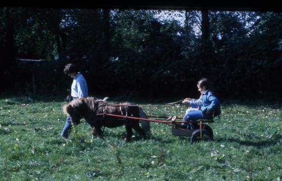 1987