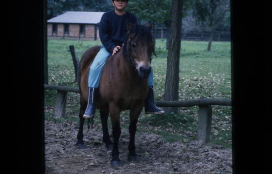 1987