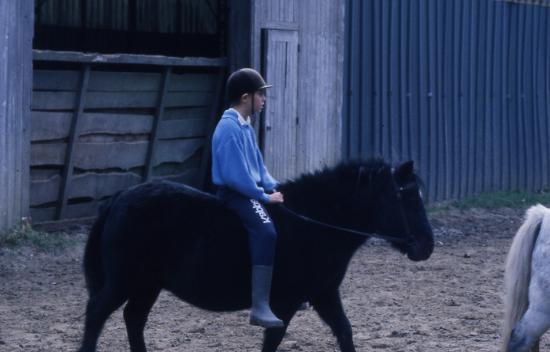 1987