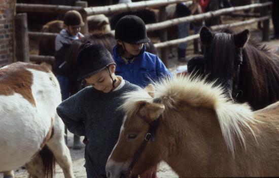 1987