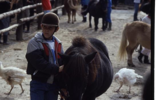 1987