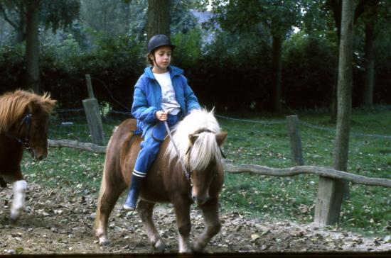 1987