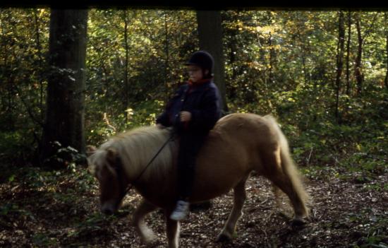 1997