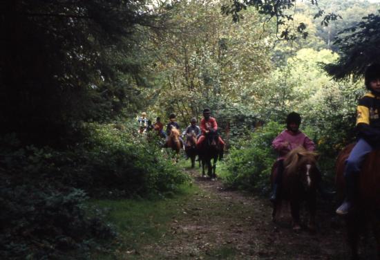 1997