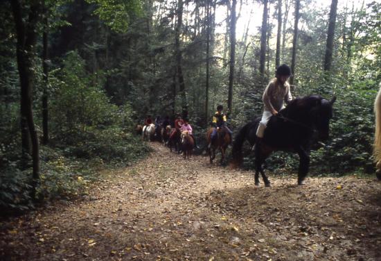 1997