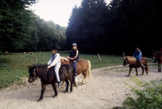 1997