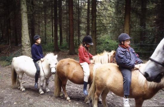 1997
