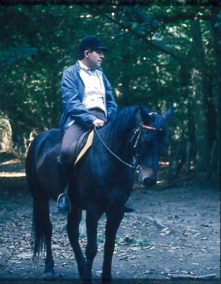 année 1987