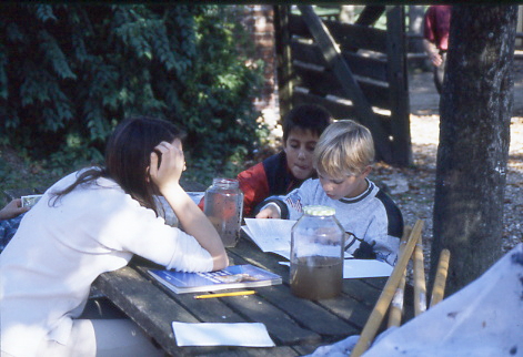 1995