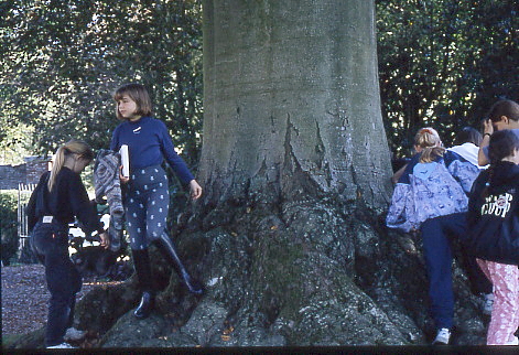 1995