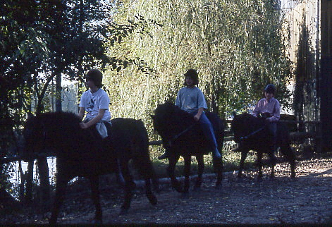 1995