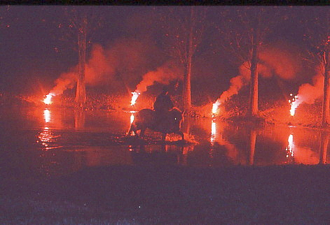 1995