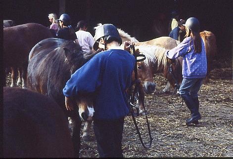 1995