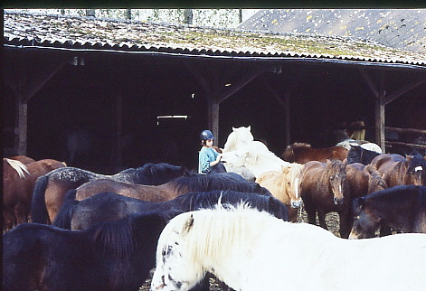 1995