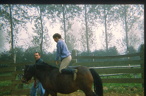 1995